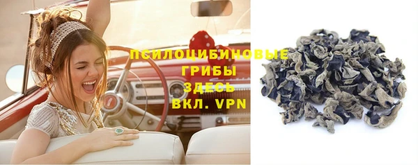 эйфоретик Беломорск