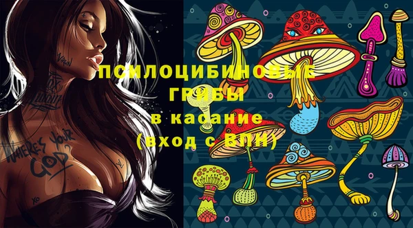МДПВ Горнозаводск